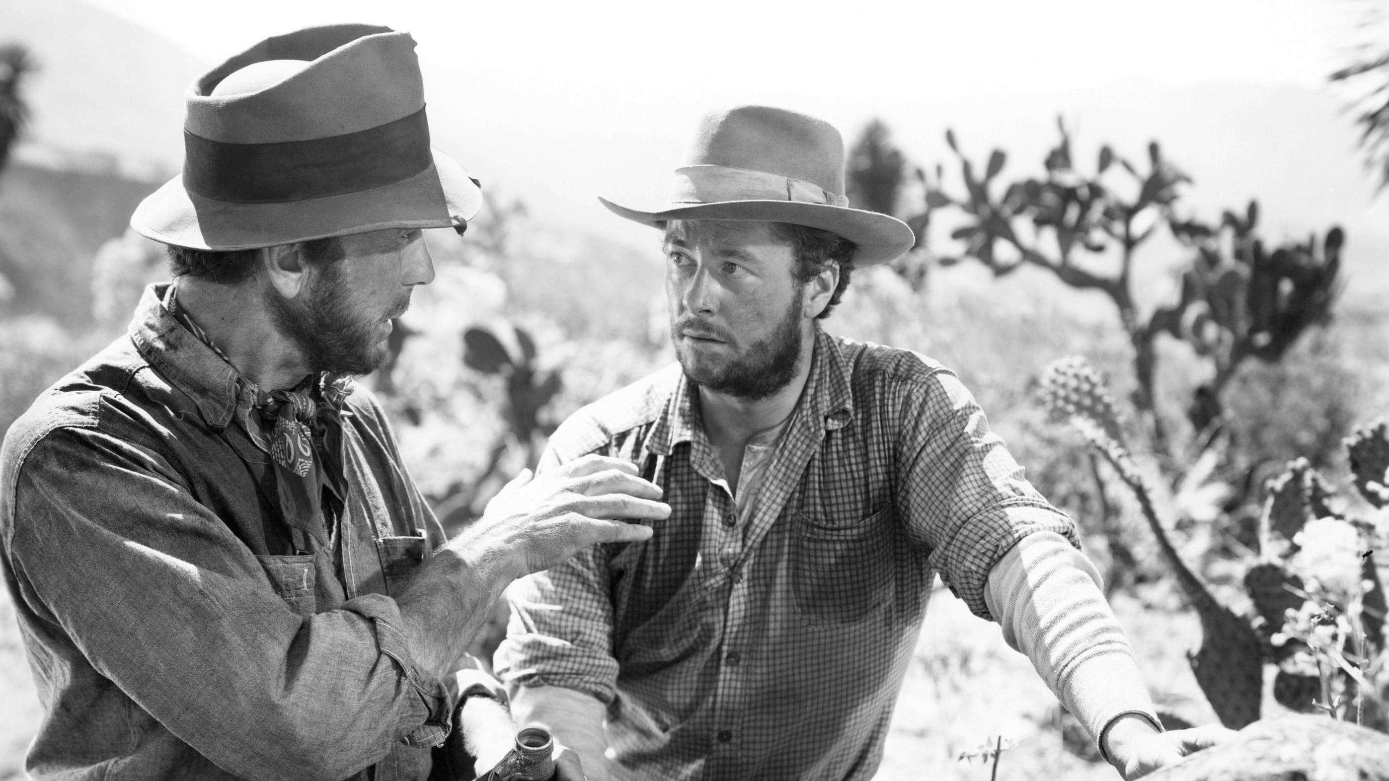 دانلود فیلم گنجهای سیرا مادره The Treasure of the Sierra Madre 1948