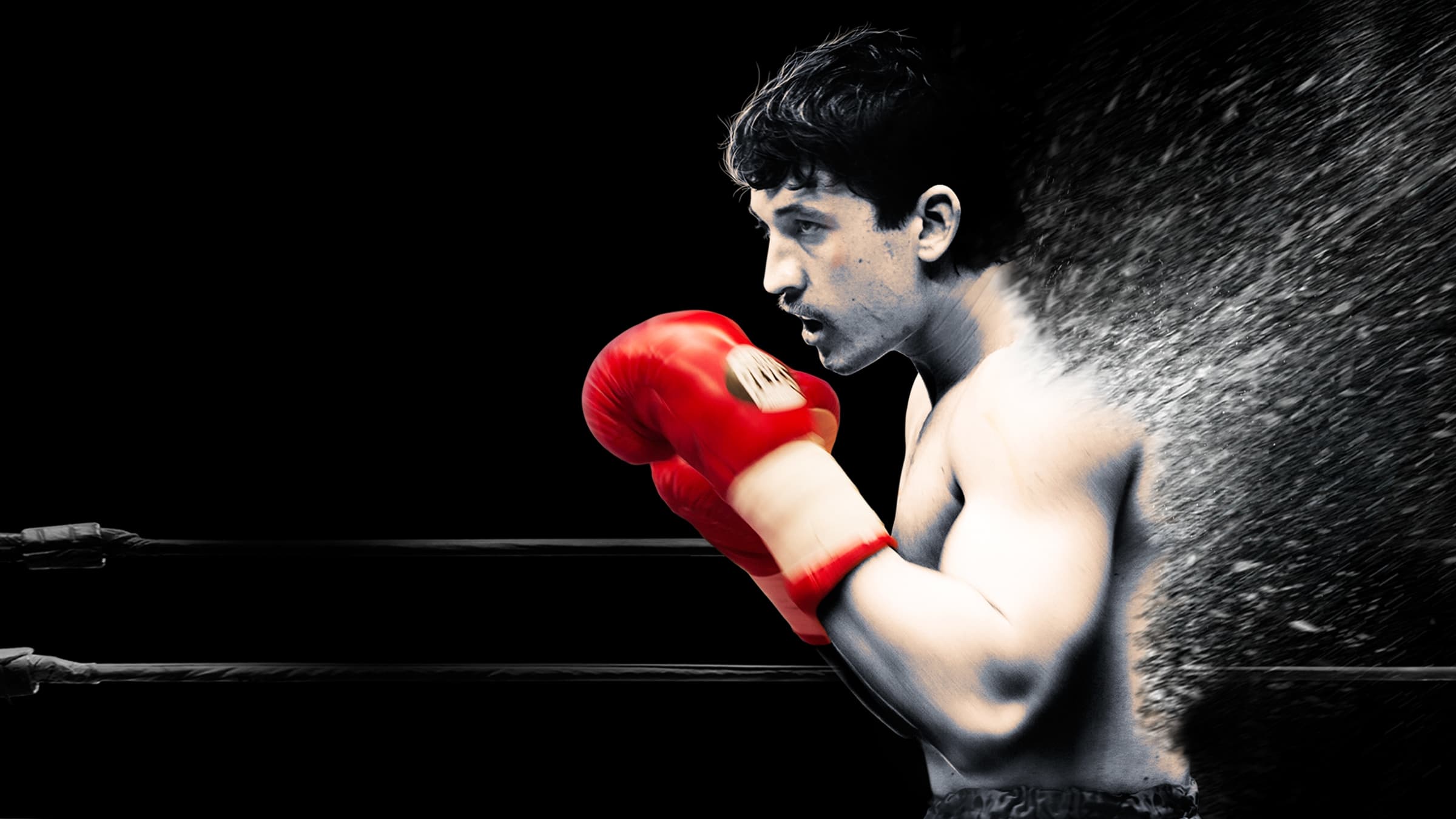 برای این خون بریز Bleed for This 2016