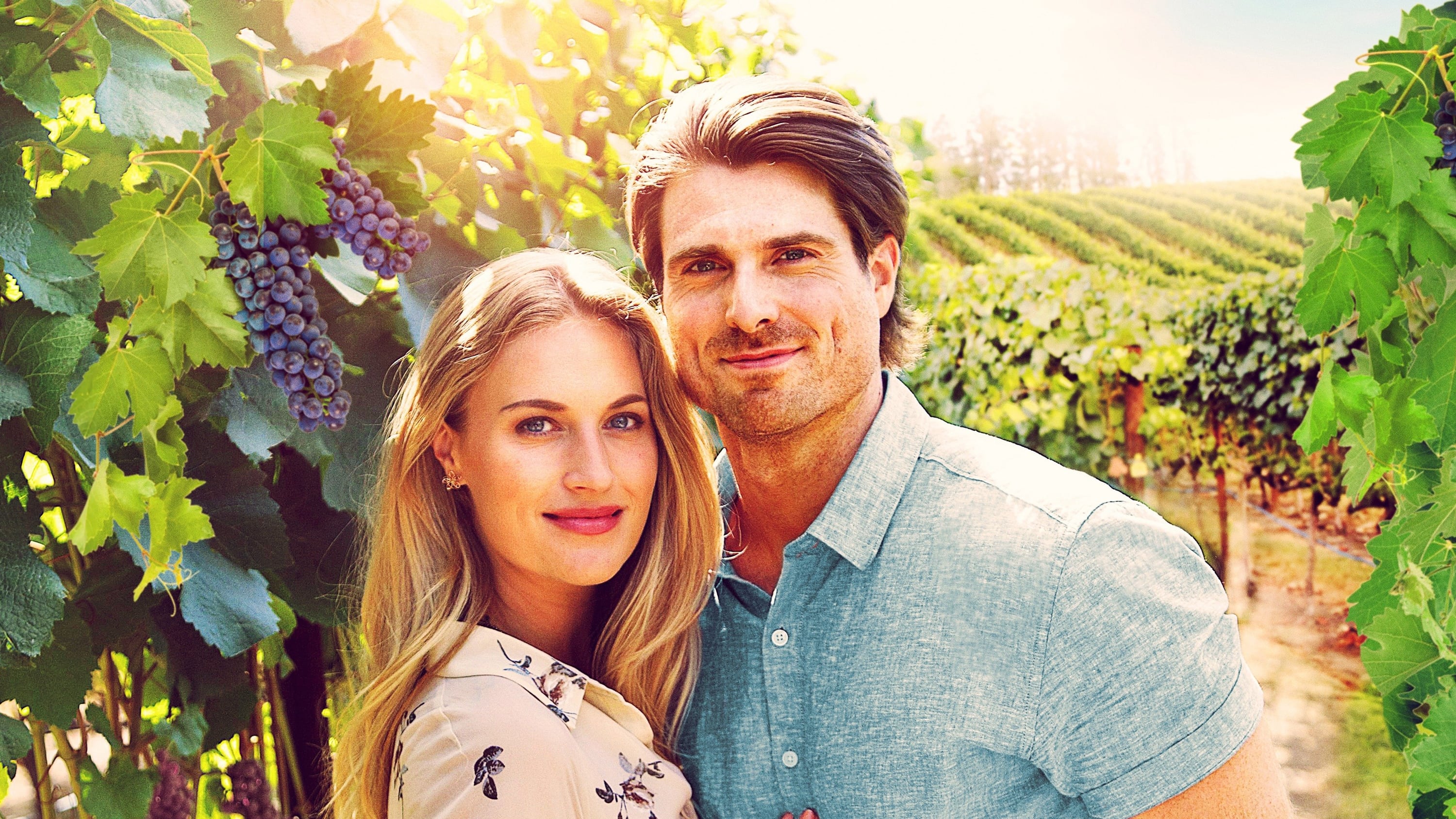 دانلود فیلم A Vineyard Romance 2021