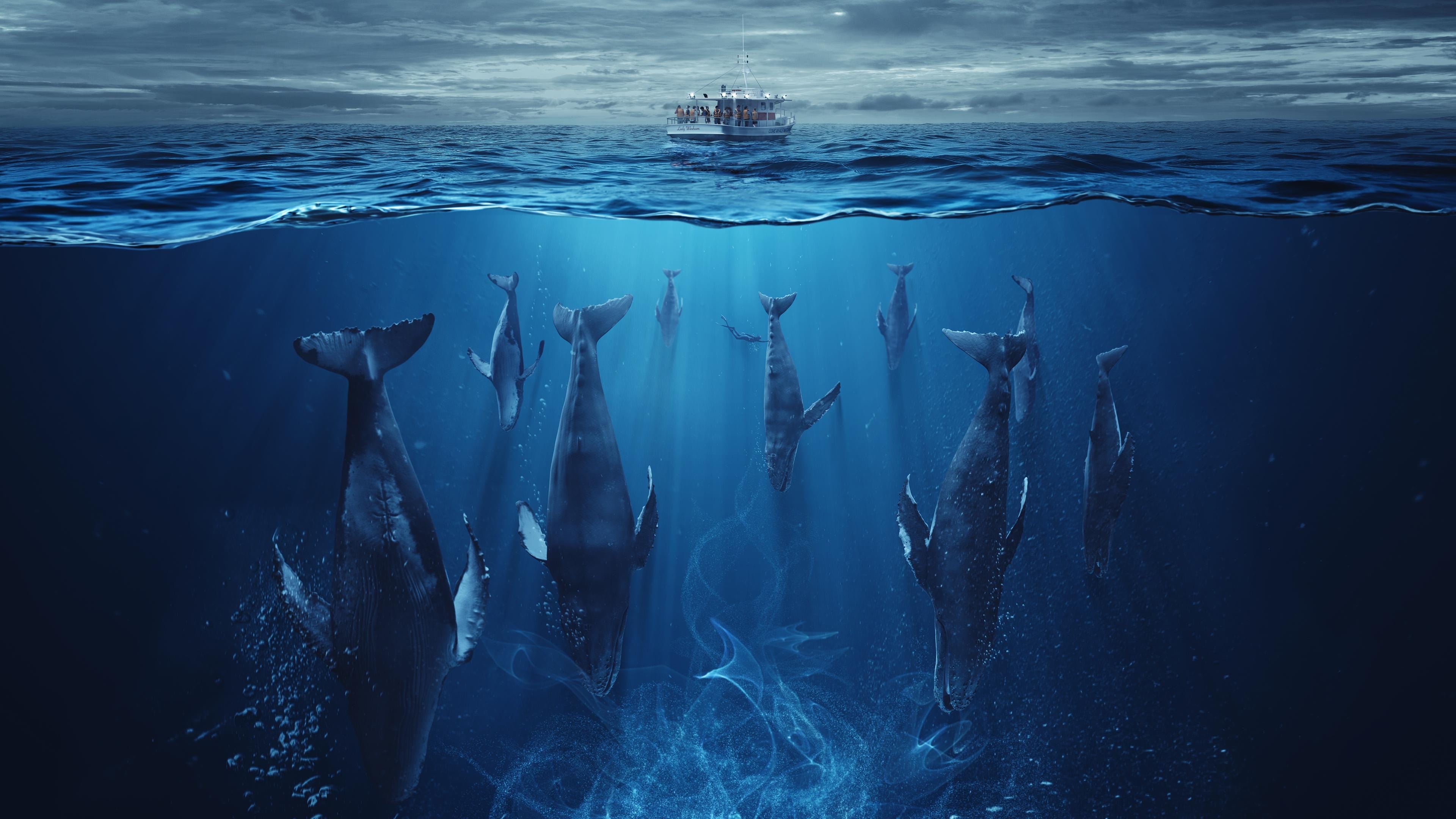 سریال هجوم The Swarm 2023